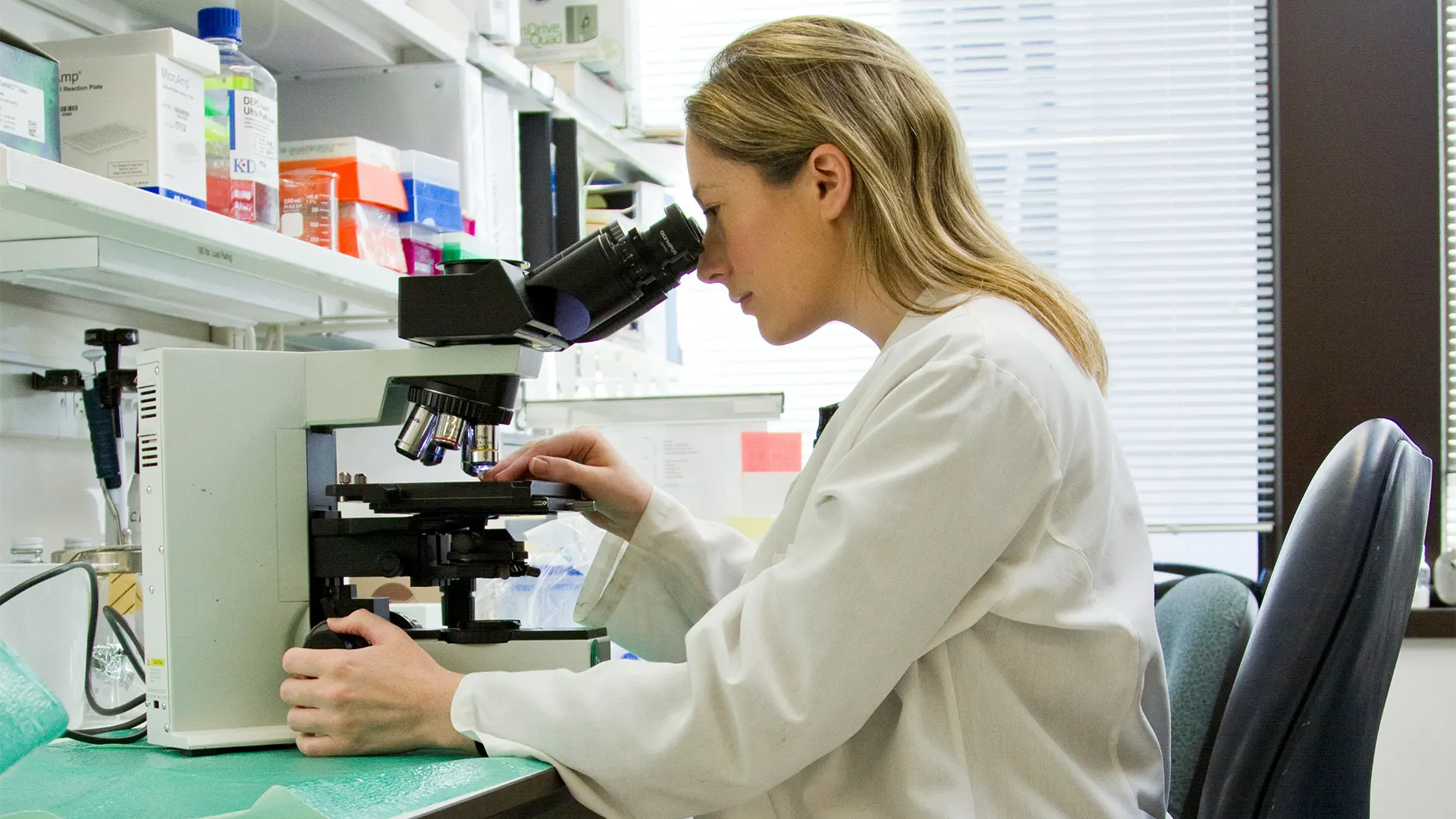 Krátka cesta do ďalekej histórie ľudskej stravy a späť k vede