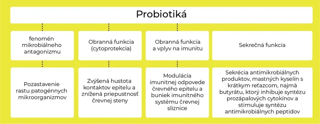 zápalové ochorenia čriev