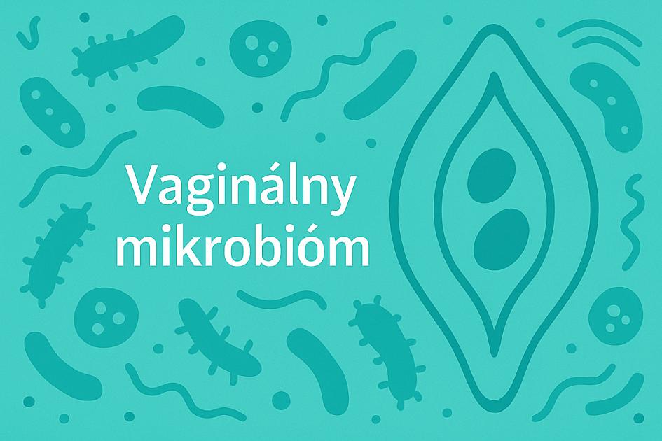 VAGINÁLNY MIKROBIÓM: VÝZNAM PRE ZDRAVIE, ZMENY V PRIEBEHU ŽIVOTA, UDRŽANIE ZDRAVÉHO STAVU 