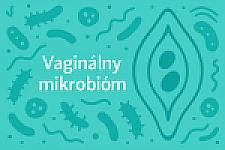 VAGINÁLNY MIKROBIÓM: VÝZNAM PRE ZDRAVIE, ZMENY V PRIEBEHU ŽIVOTA, UDRŽANIE ZDRAVÉHO STAVU 
