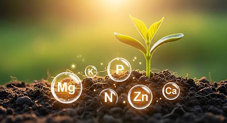 Diagnostika nedostatku magnézia a závery