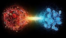 Ako organizmus vypína zápal: úloha SPM, omega-3 a črevného mikrobiómu.